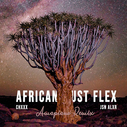 African Must Flex Remix Cover Art by CHXXX